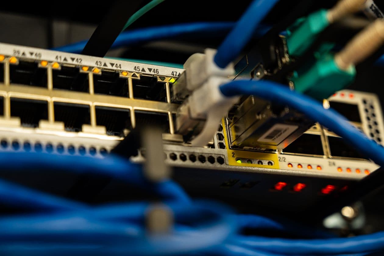 Network cables plugged into a switch that routes traffic between systems